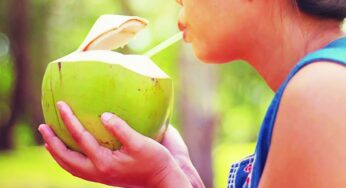 World Coconut Day: Fruit that packs a punch