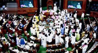 How to get away with murder in parliament
