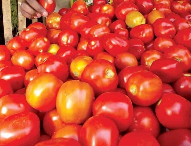 71,500 kg of tomatoes sold at subsidised rate in Delhi in 2-day mega sale