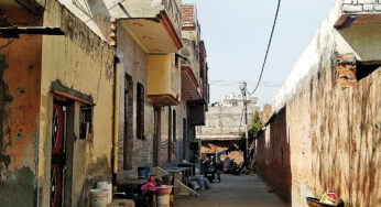 Adopted but neglected