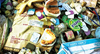 Danger in the bin