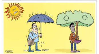 Capitalis by Manjul