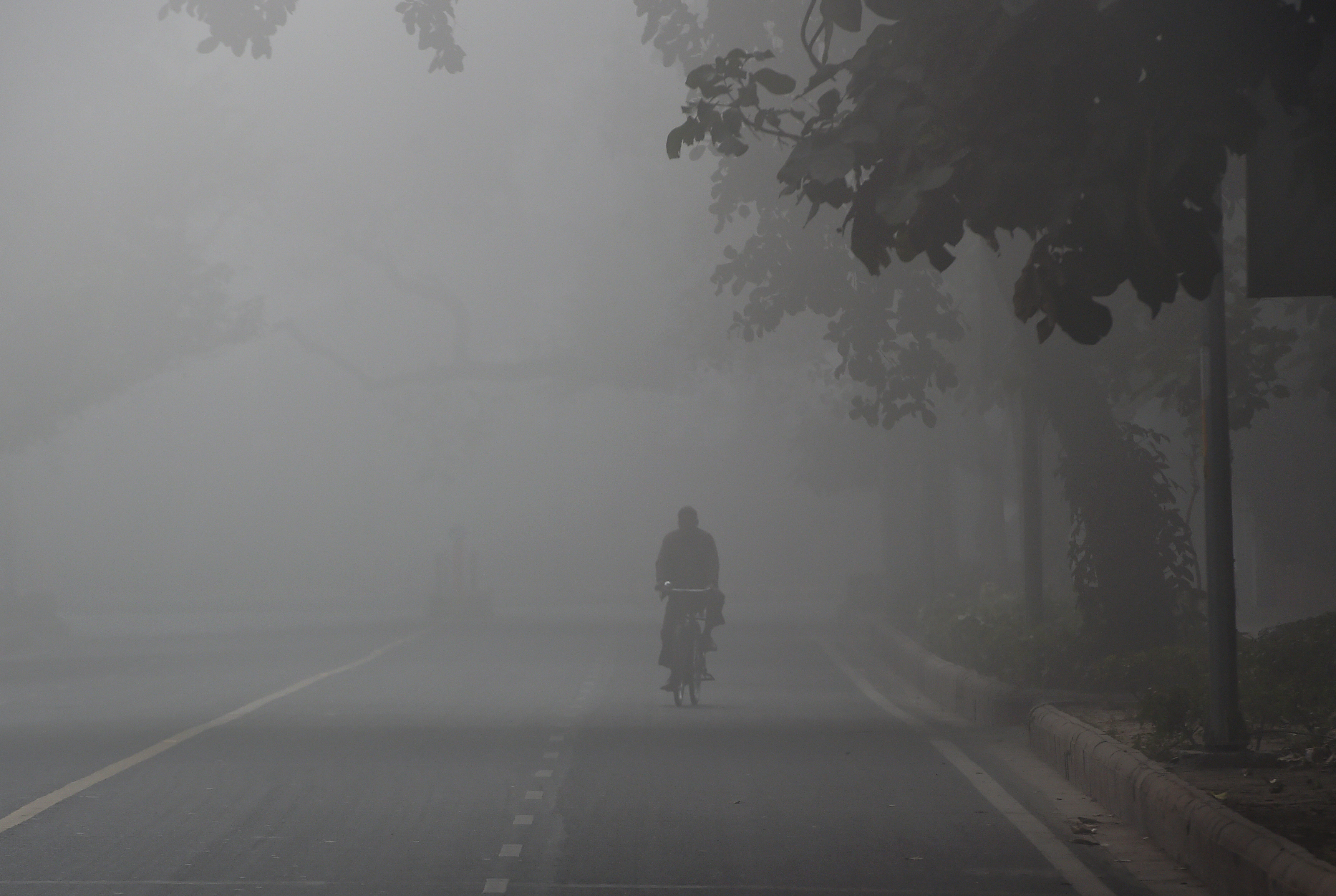 Republic Day: Dense fog in Delhi, minimum temperature settles at 4.7 deg C