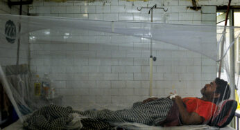 Are we mosquito-ready?