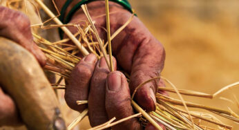 A Nordic idea for India’s air