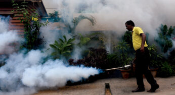 Amid rise in dengue cases in Delhi, municipal workers go on strike