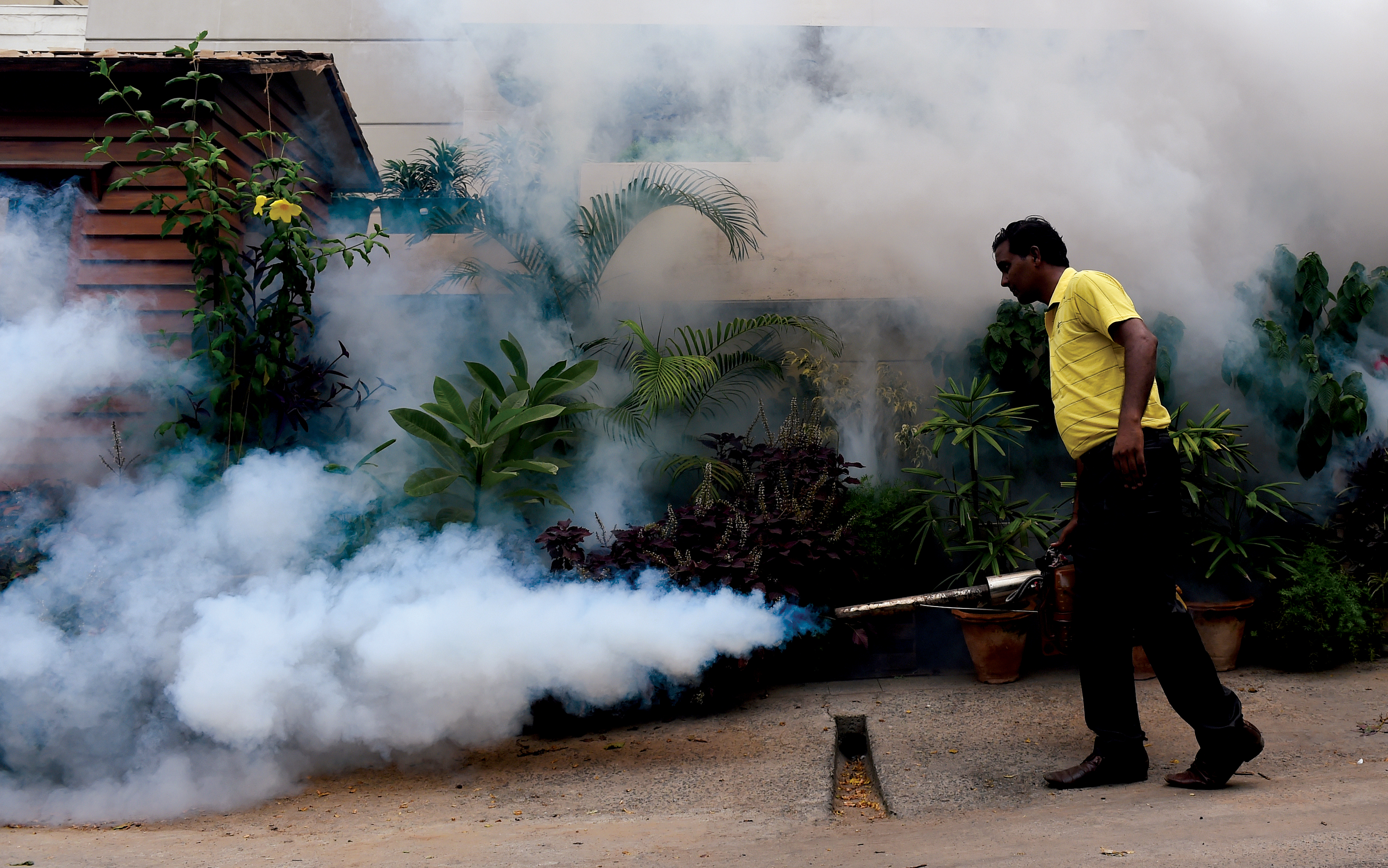 Amid rise in dengue cases in Delhi, municipal workers go on strike