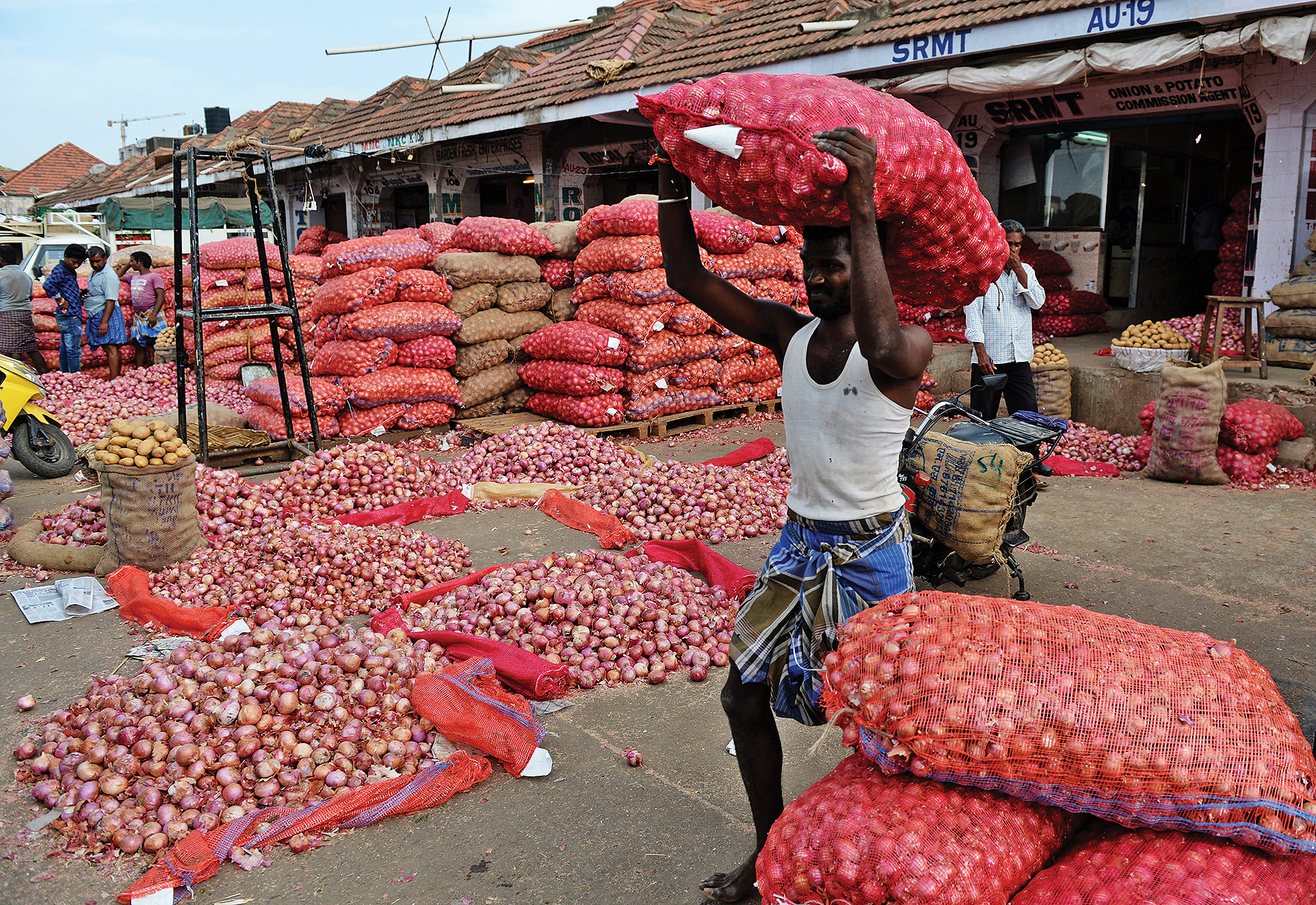 Delhiites can buy onions at Rs 25 per kg from NCCF vans tomorrow onwards