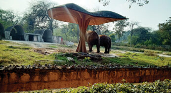 THIS IS NO MODEL ZOO