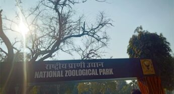 UV bulbs, special diet to keep animals warm at Delhi zoo as winter chill grips capital