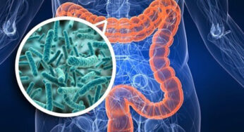 Keep the gut healthy