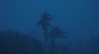 In the eye of the storm