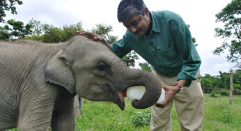 What our giant nomads need