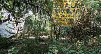 Public land, private profit