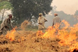 pollution, Delhi, stubble burning