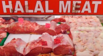 Delhi slaughter houses, shops selling meat and fish urged to remain closed on Jan 22