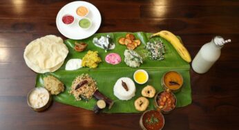 Harvesting South Indian delicacies  