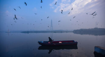 High ammonia in Yamuna: NGT asks CPCB to identify sources