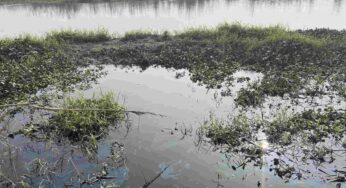 Farming fiasco on Hindon floodplains