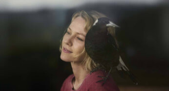 Rocky landing, smooth takeoff