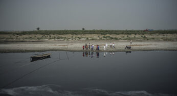 Yamuna pollution: Delhi govt bans fishing in parts of river