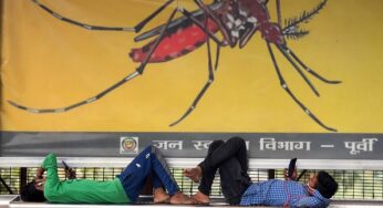53 cases of dengue in one week; 211 in Delhi this year