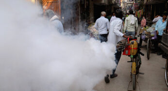 ‘Mega fogging drive’ to combat spike in dengue cases 