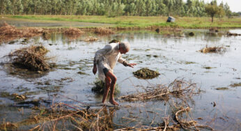 Delhi govt to pay Rs 50,000 per hectare compensation to farmers for crop damage