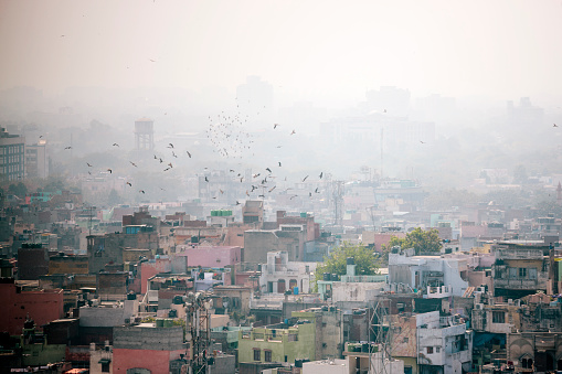 Delhi chokes as air quality remains in very poor category