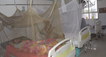 Dengue cases over cross 8,200; more than 6,700 in November alone