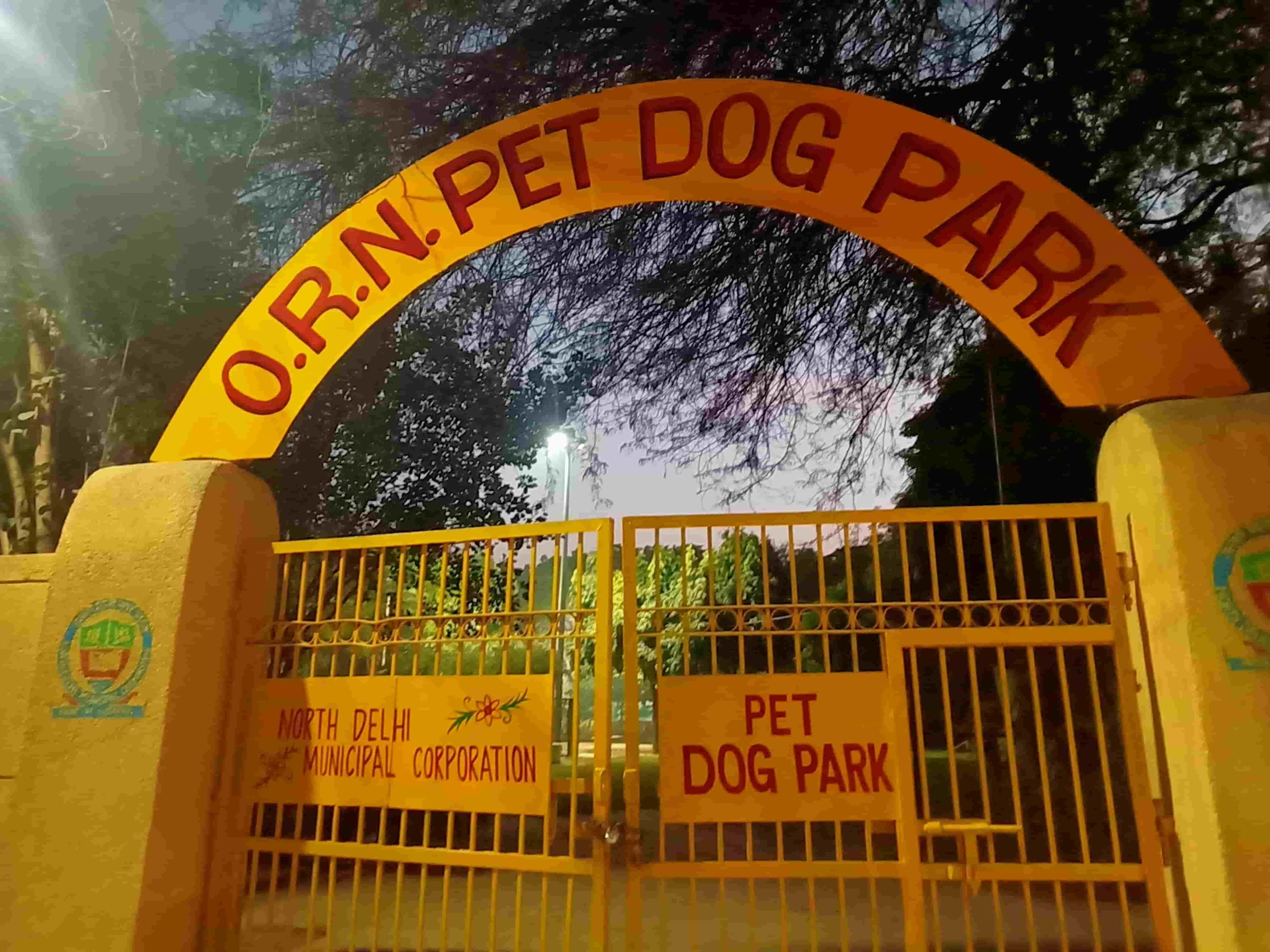Delhi’s first dog park is now open for to furry friends 
