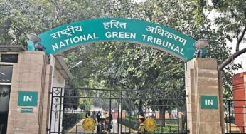 NGT seeks report on encroachment of pond in South Delhi
