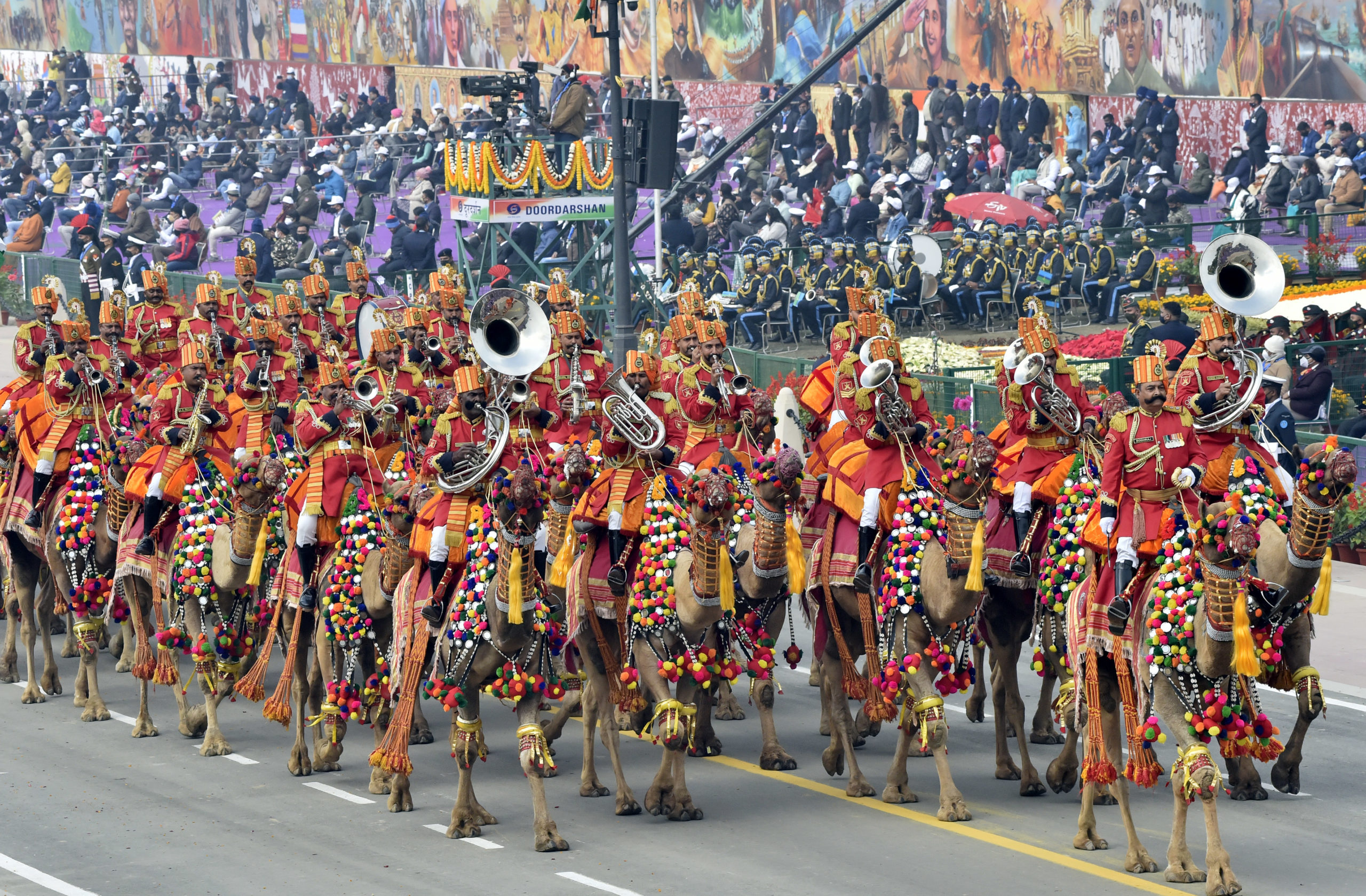 Fresh PIL alleges illegal transportation of camels for R-Day celebrations