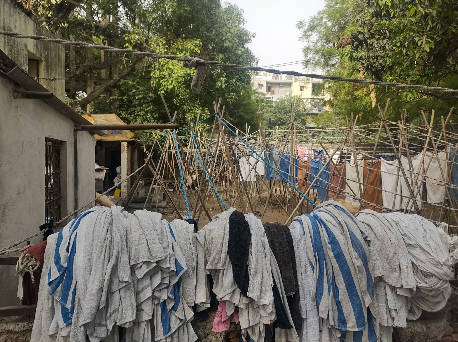 Delhi’s laundries left high and dry
