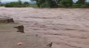 Weather update: Odisha, Chhattisgarh bracing for floods as Mahanadi swells; heavy rainfall in Mumbai