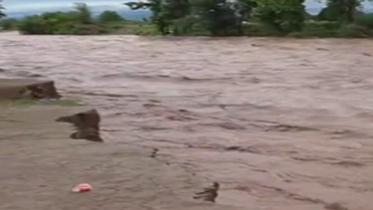 Odisha flood situation grim in northern districts, over 7 lakh already evacuated in state