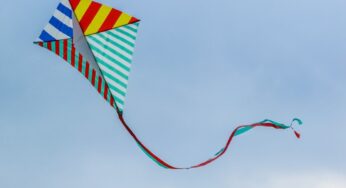 HC declines to ban kite flying, police to ensure compliance of order banning sale of Chinese manjha