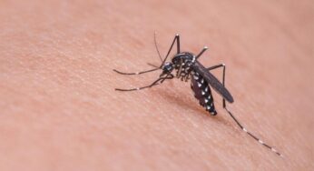 Delhi logs over 5,000 dengue cases, more than 352 of malaria