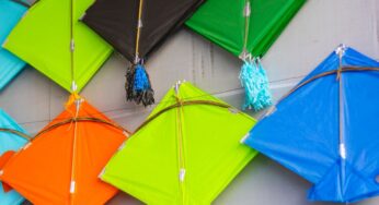 Delhi: Discoms issue kite-flying advisory before Independence Day