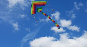 I-Day| Don’t fly kites near elevated metro lines: DMRC to Delhiites