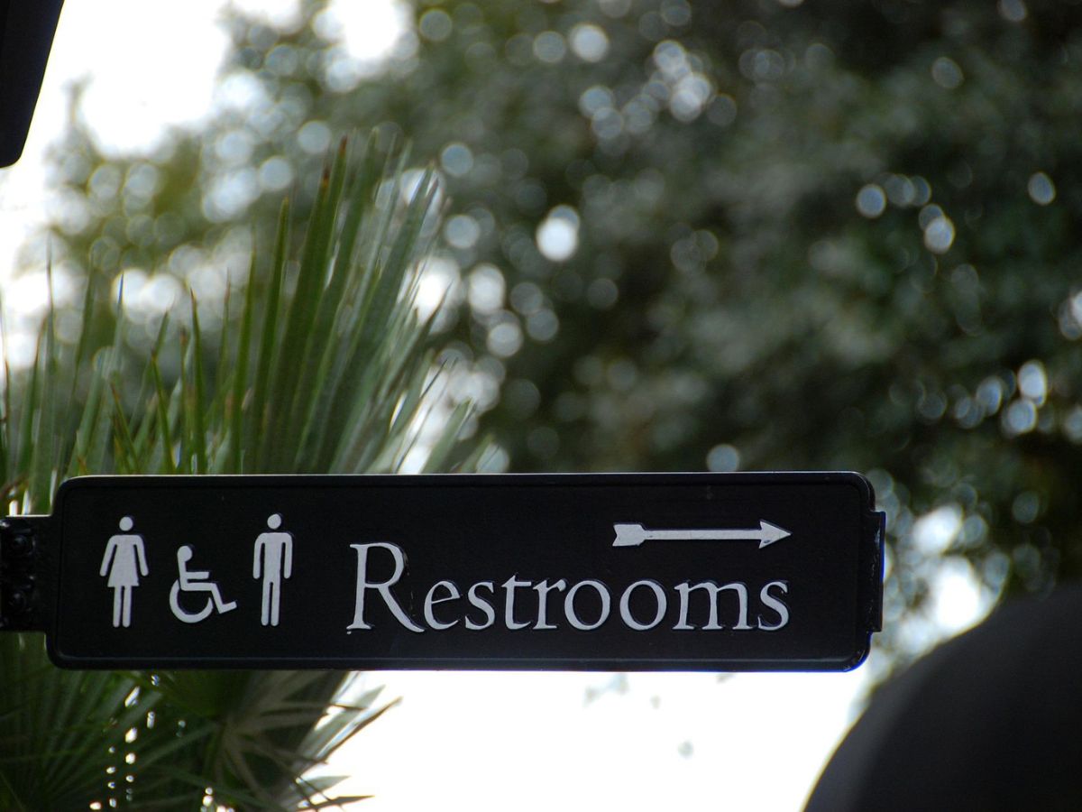 Toilets intended for PWD can be used by transgenders: Delhi govt to HC