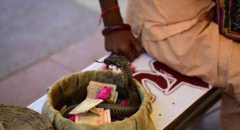 Snake charmers impersonating ‘Sadhus’ arrested for robbery