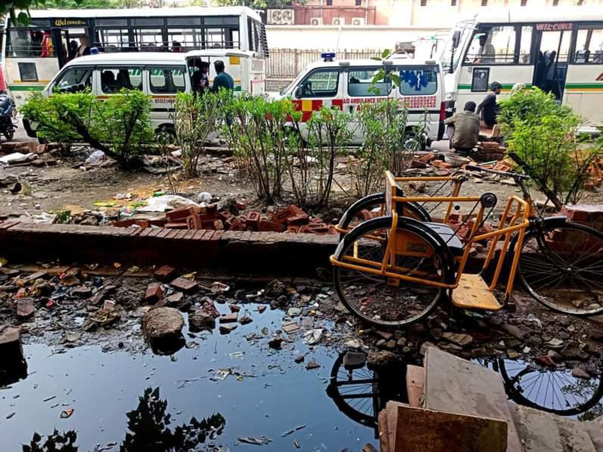 As dengue cases rise, HC asks Delhi govt about proposal to hike fine for mosquito breeding