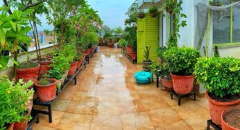 Urban farming: Terrace to table