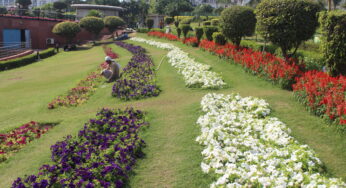 Delhi to witness warm day, zero chance of rain; temp to cross 40 degree Celsius