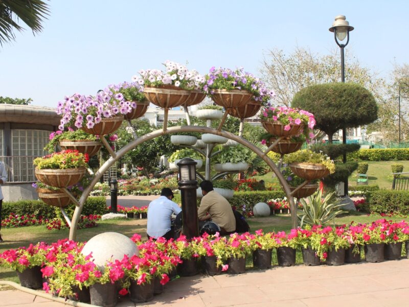 Delhi: MCD to allocate Rs 13,500 per acre to RWAs to address gardener shortage in parks