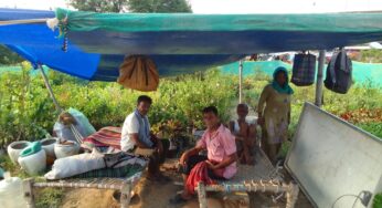 Delhi Floods: Yamuna Khadar farmers suffer losses