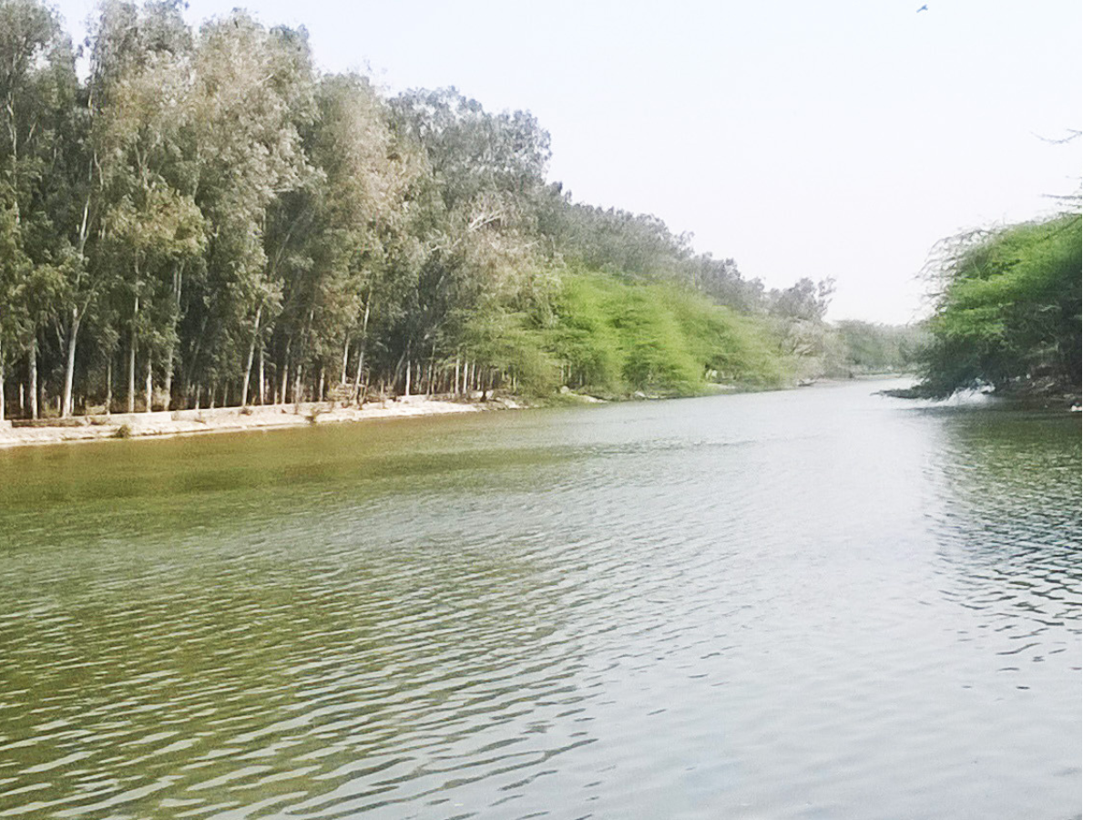 Delhi’s picturesque lakes