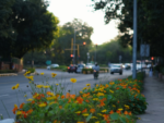 Delhi govt launches ambitious plan to redesign, spruce all PWD roads in city