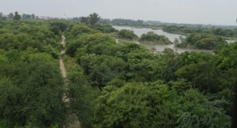 Triumph of Yamuna Biodiversity Park over floods